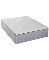 Sealy Firm Tight Top King Mattress Set