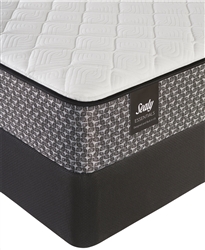 Sealy 9 inch foam firm split queen mattress set