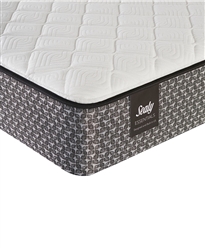 Sealy 9" Foam Firm Mattress Queen