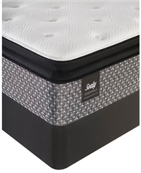 Sealy Essentials Coral 13 inch Plush Euro Pillow Top Queen Mattress